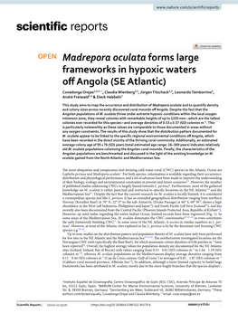 Madrepora Oculata Forms Large Frameworks in Hypoxic