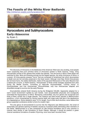 Hyracodons and Subhyracodons Early Rhinoceros by Ryan C