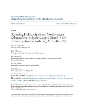 Spreading Holiday Spirit and Northwestern Salamanders, Ambystoma Gracile (Baird 1859) (Caudata: Ambystomatidae), Across the USA Michael R