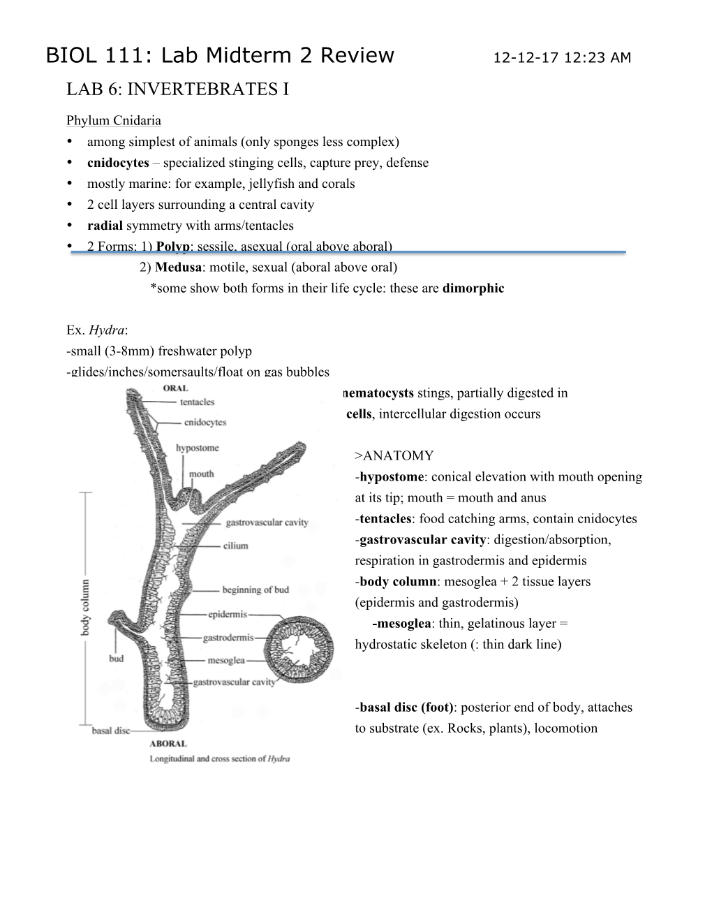 BIOL 111: Lab Midterm 2 Review 12-12-17 12:23 AM LAB 6: INVERTEBRATES I