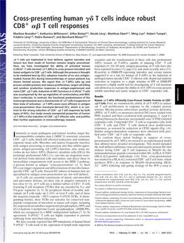 Cross-Presenting Human T Cells Induce Robust CD8 T Cell Responses