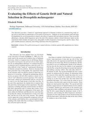 Evaluating the Effects of Genetic Drift and Natural Selection in Drosophila Melanogaster