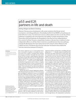 P53 and E2f: Partners in Life and Death