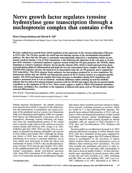 Nerve Growth Factor Regulates Tyrosine Hydroxylase Gene Transcription Through a Nucleoprotein Complex That Contains C-Fos