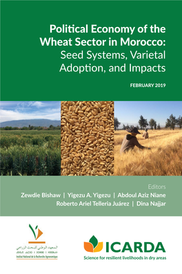 Political Economy of the Wheat Sector in Morocco: Seed Systems, Varietal Adoption, and Impacts