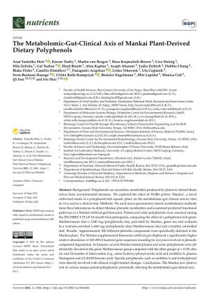The Metabolomic-Gut-Clinical Axis of Mankai Plant-Derived Dietary Polyphenols