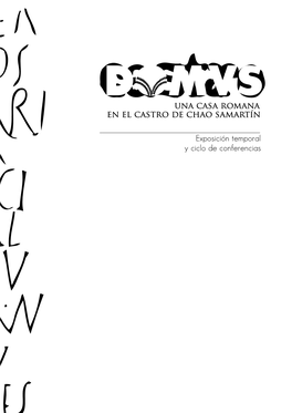 DOMVS. Una Casa Romana En El Castro De Chao Samartín. Catálogo