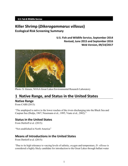 Dikerogammarus Villosus) Ecological Risk Screening Summary