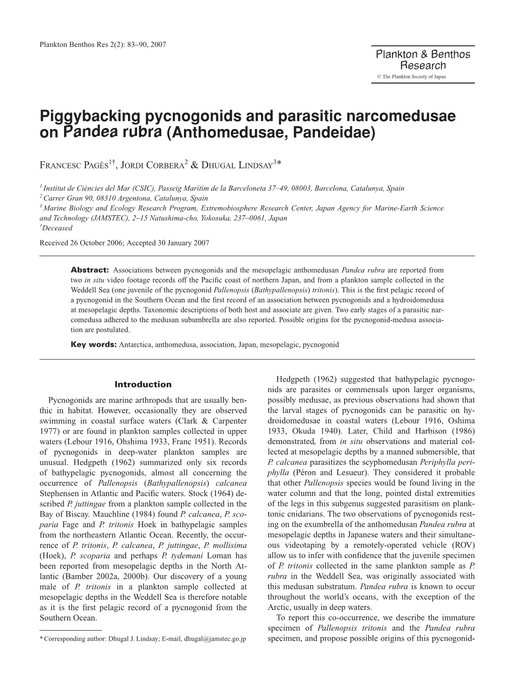 Piggybacking Pycnogonids and Parasitic Narcomedusae on Pandea Rubra (Anthomedusae, Pandeidae)