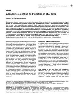 Adenosine Signaling and Function in Glial Cells