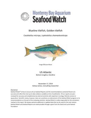 Blueline Tilefish, Golden Tilefish US Atlantic