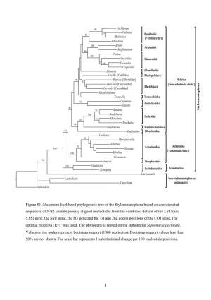Figure S1. Maximum Likelihood Phylogenetic Tree of The