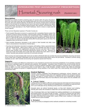 Horsetail-Scouring Rush (Equisetum Spp.) Description: Horsetail Is in a Family of Plants Containing About 35 Species Within the Genus Equisetum