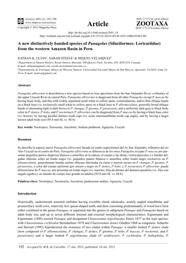 (Siluriformes: Loricariidae) from the Western Amazon Basin in Peru