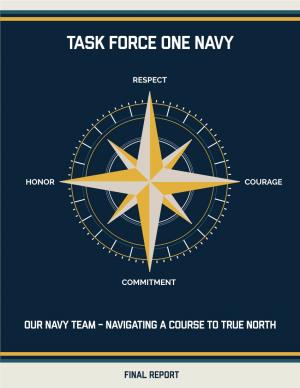 Task Force One Navy