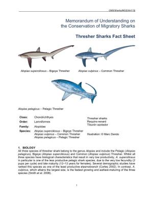 Thresher Sharks Fact Sheet