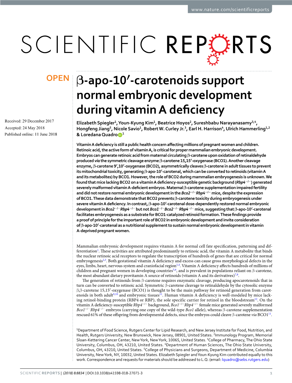 Carotenoids Support Normal Embryonic Development During Vitamin A