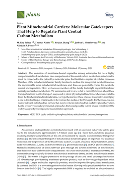 Plant Mitochondrial Carriers: Molecular Gatekeepers That Help to Regulate Plant Central Carbon Metabolism