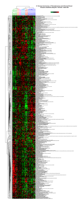 51 Norway Carcinomas, 3 Fibroadenomas and 4 Normal Breast Samples Clustered Using the "Intrinsic" Gene Set