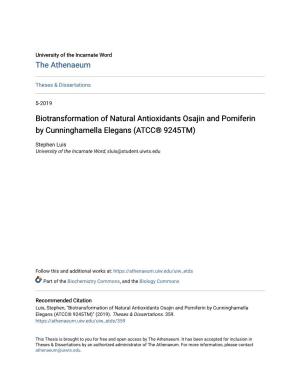 Biotransformation of Natural Antioxidants Osajin and Pomiferin by Cunninghamella Elegans (ATCC® 9245TM)