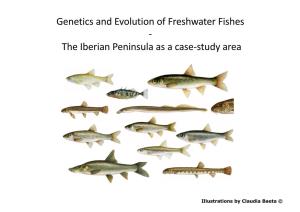 Genetics and Evolution of Freshwater Fishes - the Iberian Peninsula As a Case-Study Area