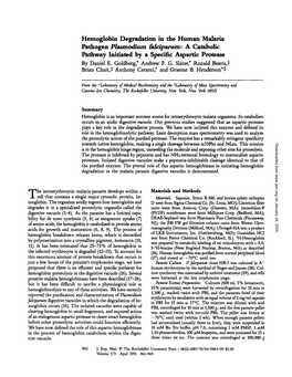 Hemoglobin Degradation in the Human Malaria Pathogen Plasmodium Falciparum : a Catabolic Pathway Initiated by a Specific Aspartic Protease by Daniel E