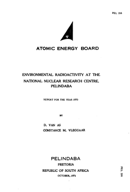 Environmental Radioactivity at the National Research Centre, Pelindaba
