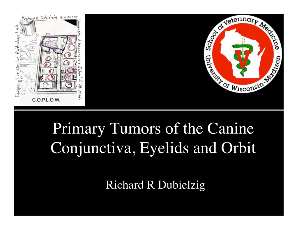 Primary Tumors of the Canine! Conjunctiva, Eyelids and Orbit! "