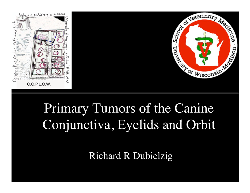 Primary Tumors of the Canine! Conjunctiva, Eyelids and Orbit! 