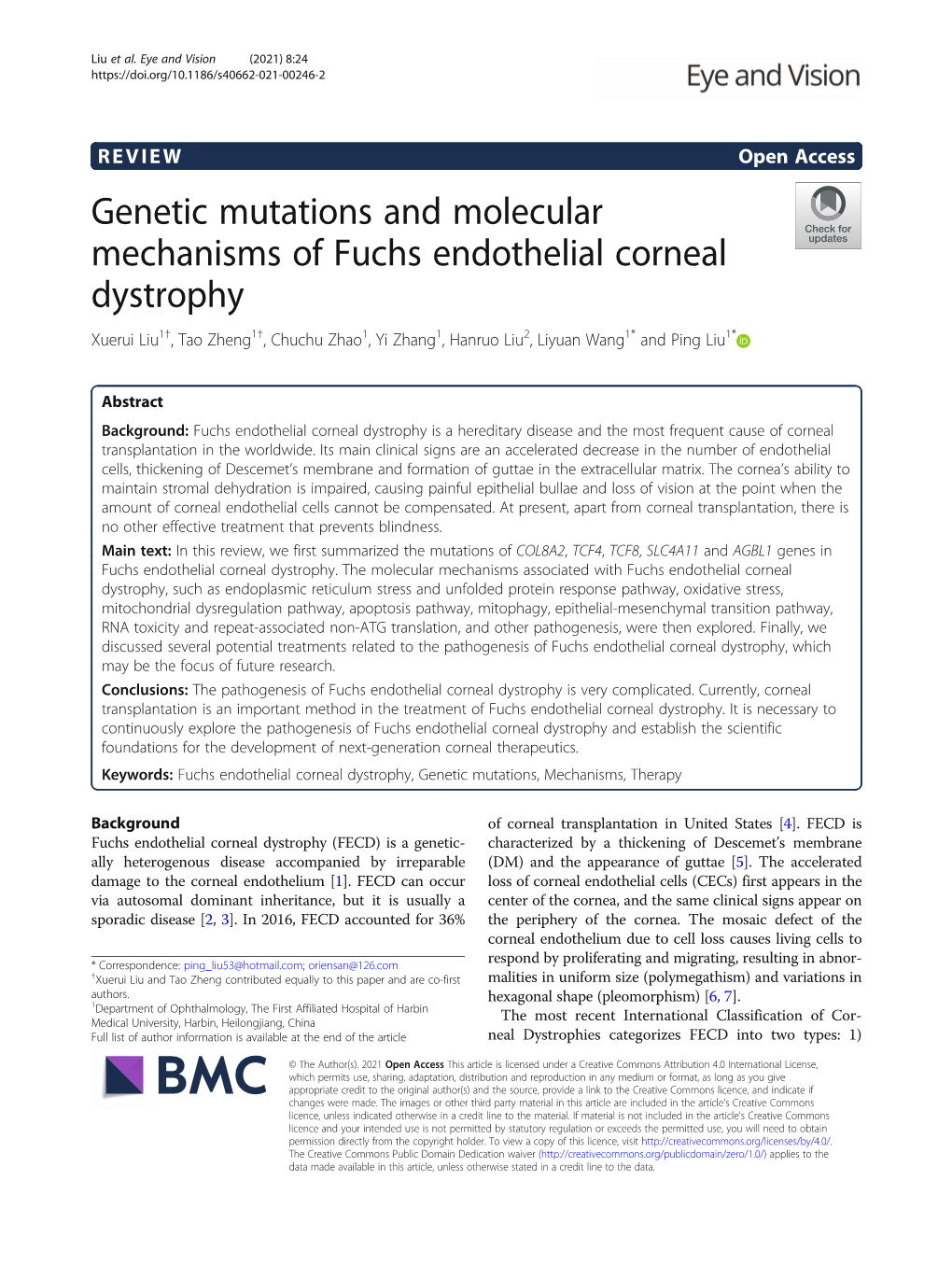 Genetic Mutations and Molecular Mechanisms of Fuchs Endothelial