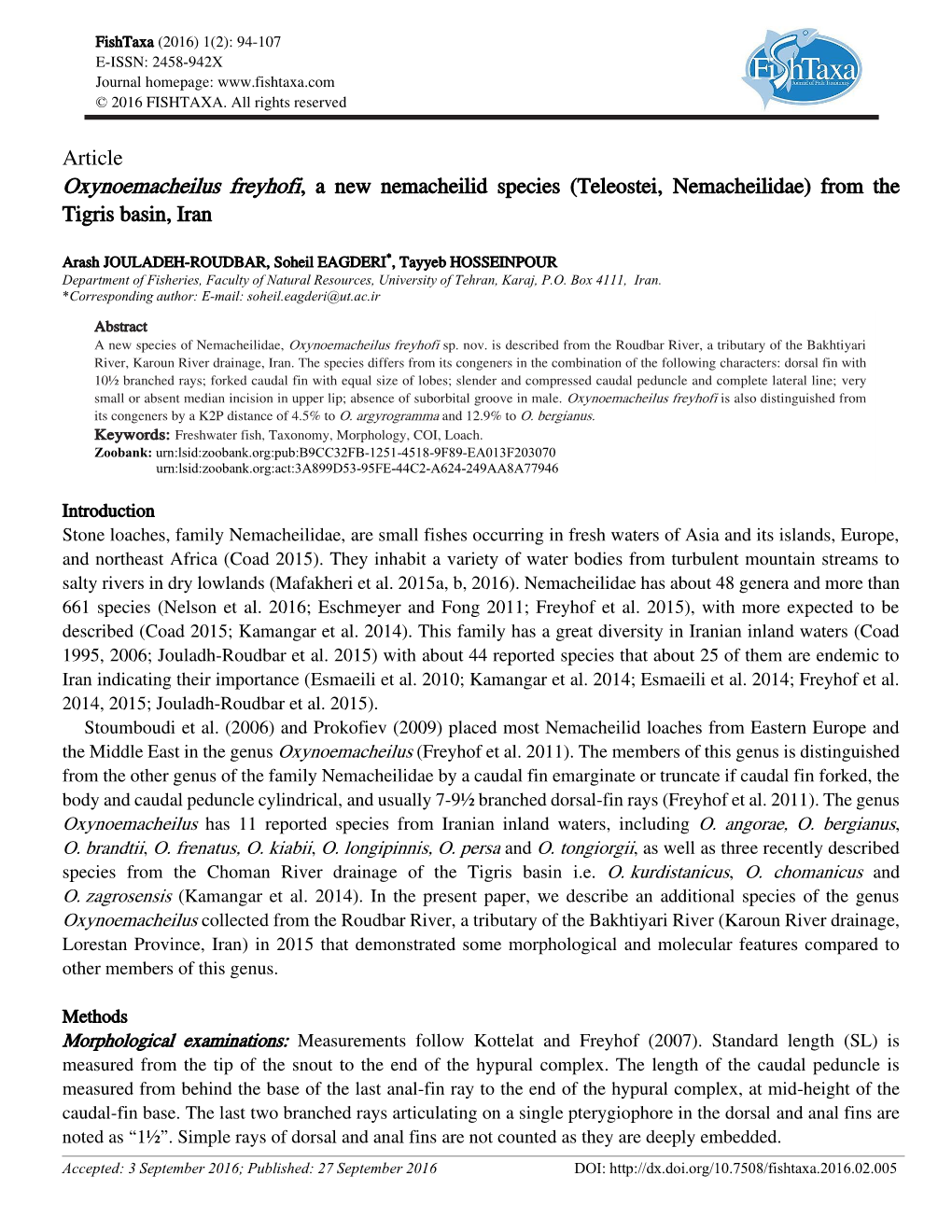 Article Oxynoemacheilus Freyhofi, a New Nemacheilid Species (Teleostei, Nemacheilidae) from the Tigris Basin, Iran