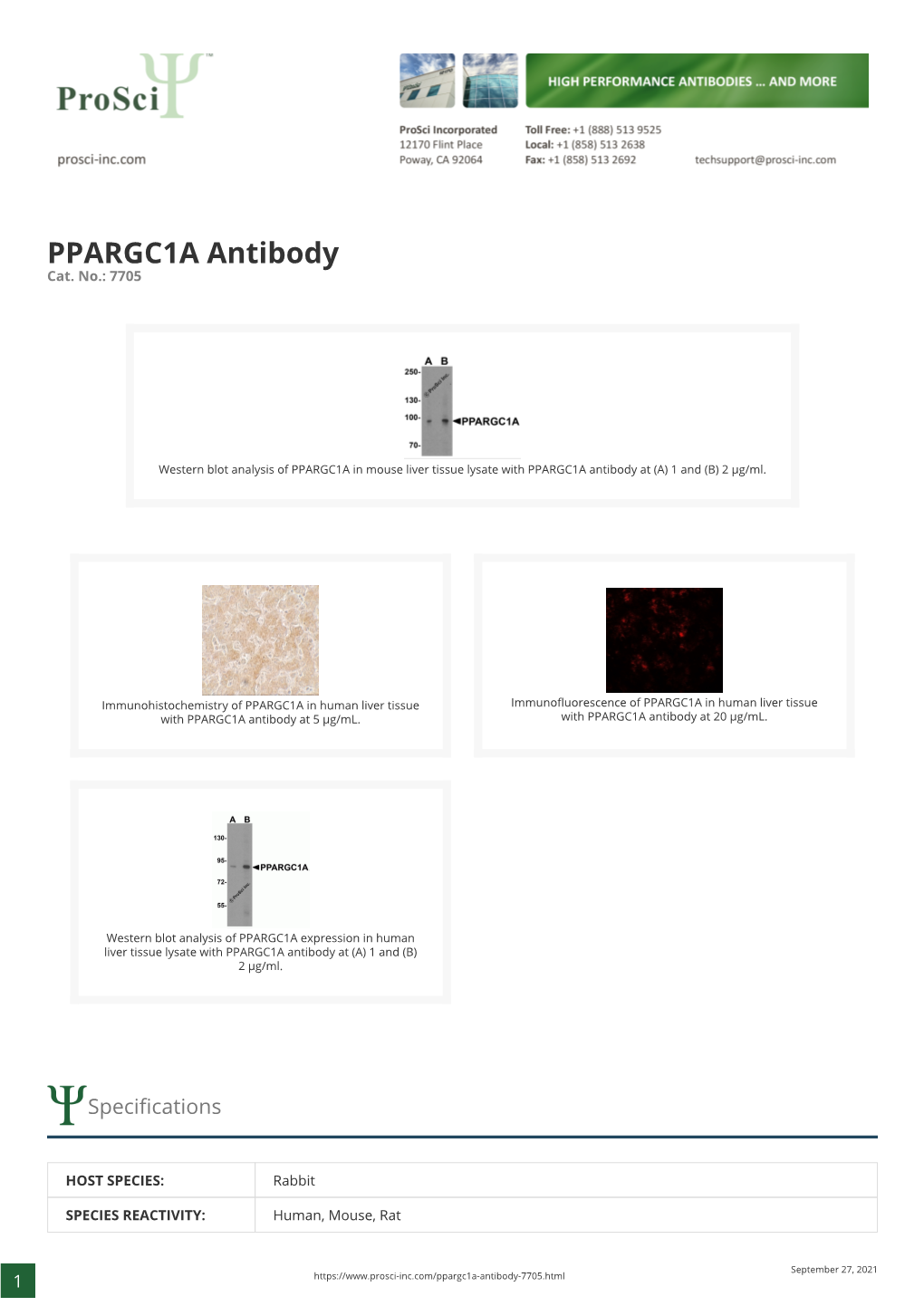 PPARGC1A Antibody Cat