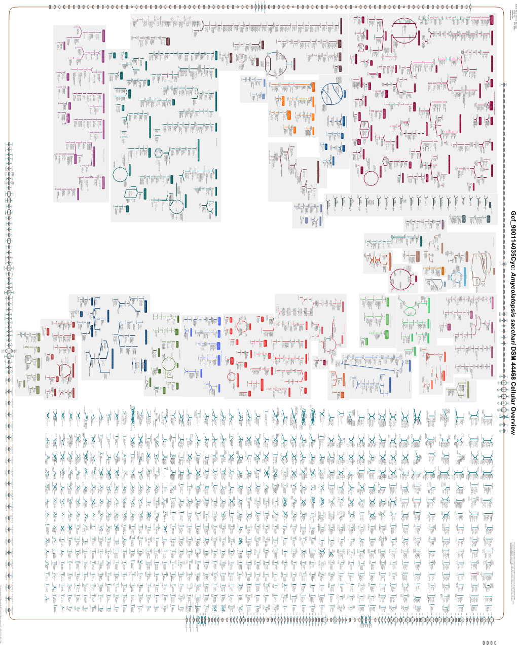 Generate Metabolic Map Poster