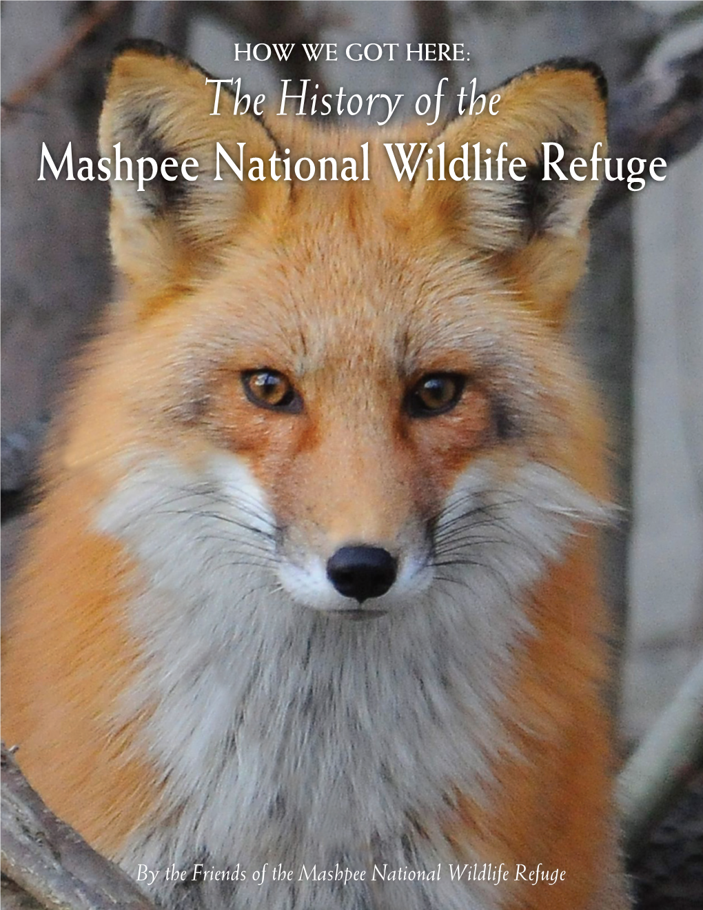 The History of the Mashpee National Wildlife Refuge