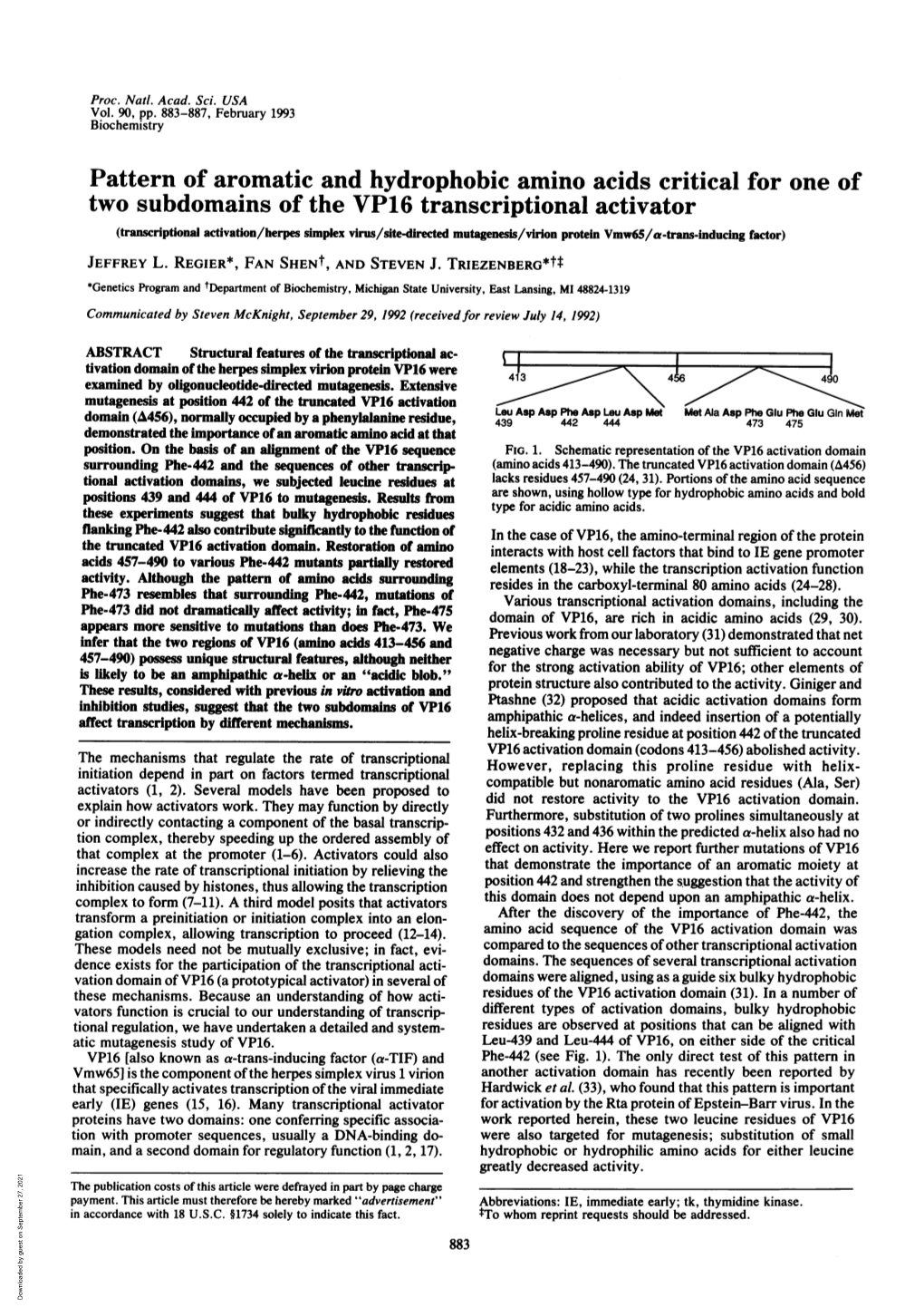 Pattern of Aromatic and Hydrophobic Amino Acids Critical for One of Two