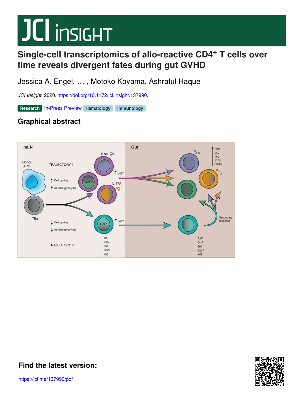 Single-Cell Transcriptomics of Allo-Reactive CD4 T Cells Over Time