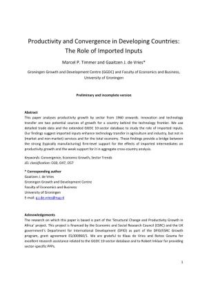 Productivity and Convergence in Developing Countries: the Role of Imported Inputs