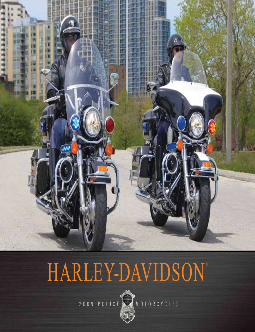 2009 Harley-Davidson Fire, Rescue, Police and Peace