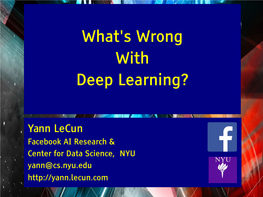 What's Wrong with Deep Learning?