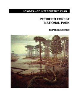 Long-Range Interpretive Plan, Petrified Forest National Park