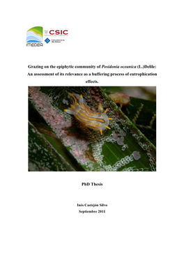 Grazing on the Epiphytic Community of Posidonia Oceanica (L.)Delile: an Assessment of Its Relevance As a Buffering Process of Eutrophication Effects