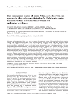 The Taxonomic Status of Some Atlanto-Mediterranean Species in the Subgenus Holothuria (Echinodermata: Holothuroidea: Holothuriidae) Based on Molecular Evidence