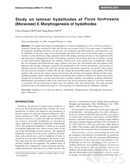 II. Morphogenesis of Hydathodes