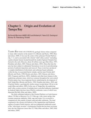 Chapter 3. Origin and Evolution of Tampa Bay 37