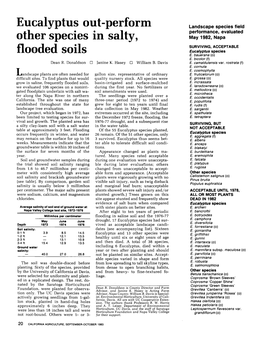 Eucalyptus Out-Perform Other Species in Salty, Flooded Soils