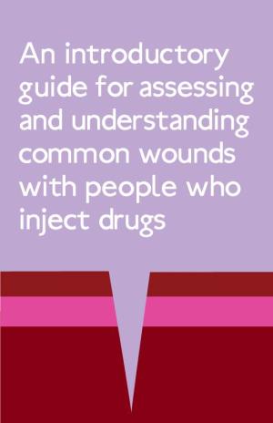 An Introductory Guide for Assessing and Understanding Common Wounds with People Who Inject Drugs Preface Contents 1