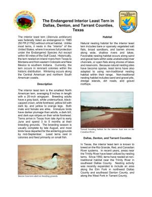 Interior Least Tern in Dallas, Denton, and Tarrant Counties, Texas