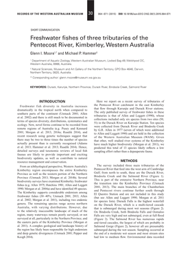 Freshwater Fishes of Three Tributaries of the Pentecost River, Kimberley