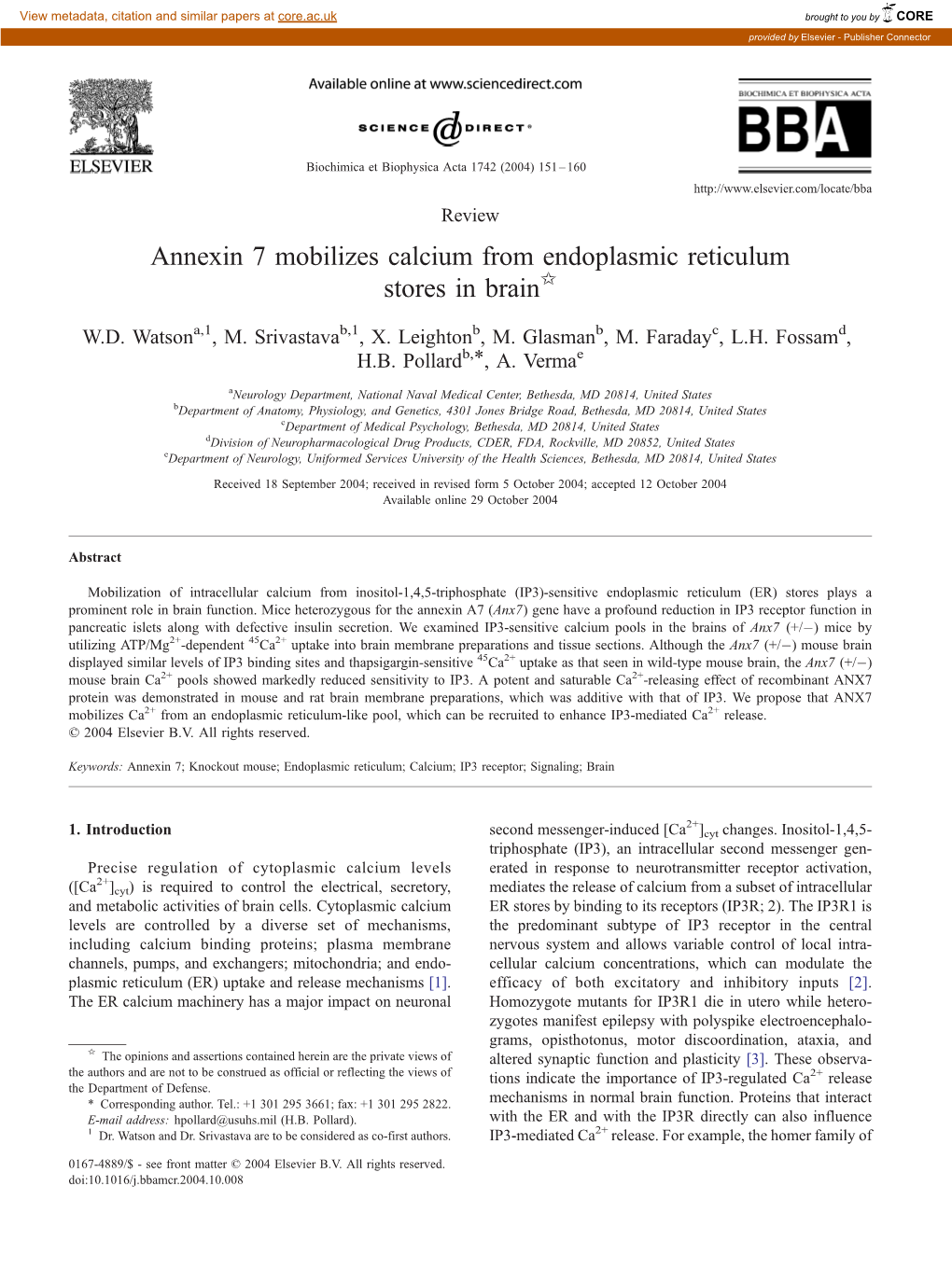 Annexin 7 Mobilizes Calcium from Endoplasmic Reticulum Stores in Brainb