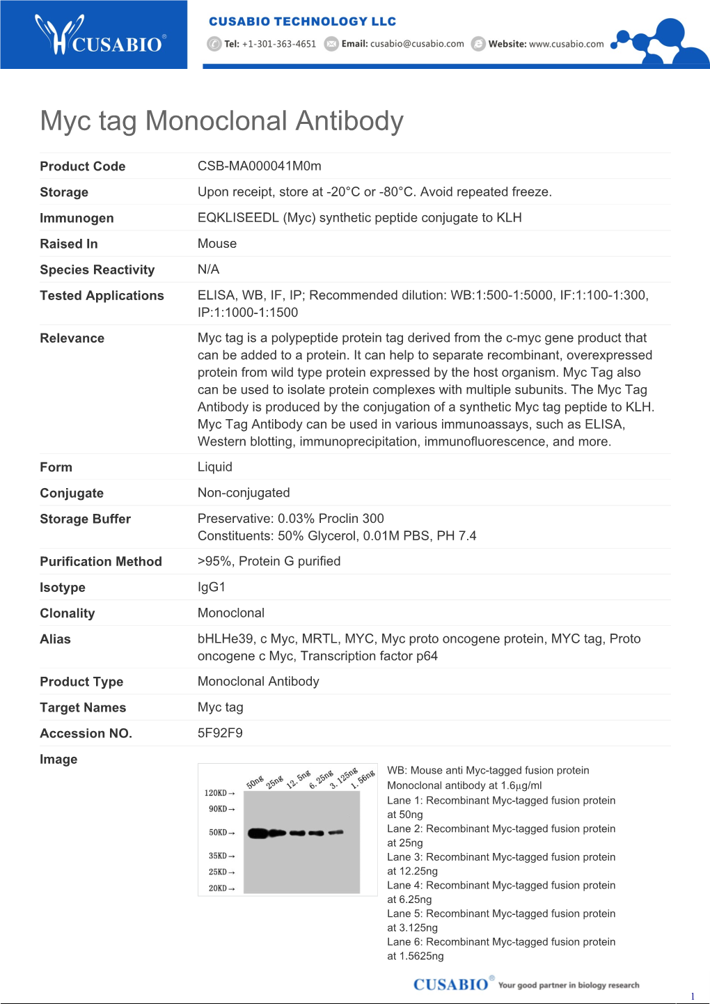 Myc Tag Monoclonal Antibody